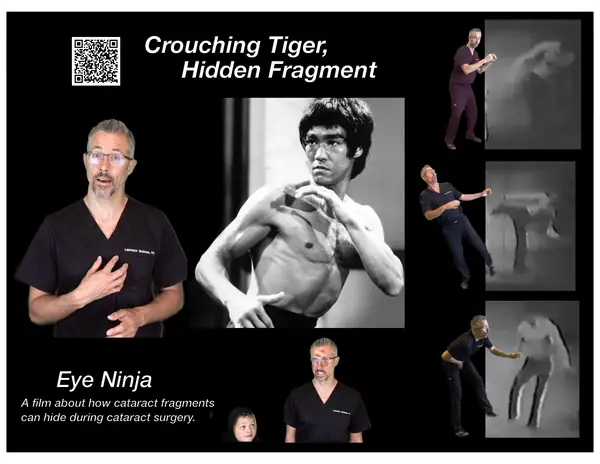 Film poster: Crouching Tiger, Hidden Fragment