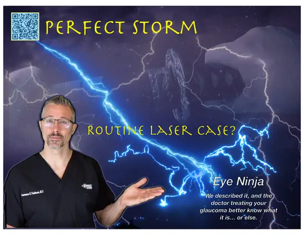 Film poster: Perfect Storm