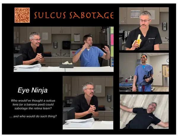 Film poster: Sulcus Sabotage: Plan a PI for Your Posterior Partner